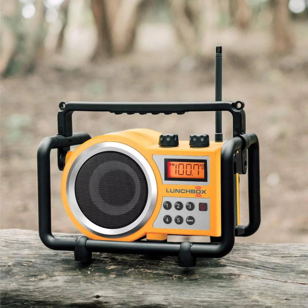 Compact AM and FM Radio D972