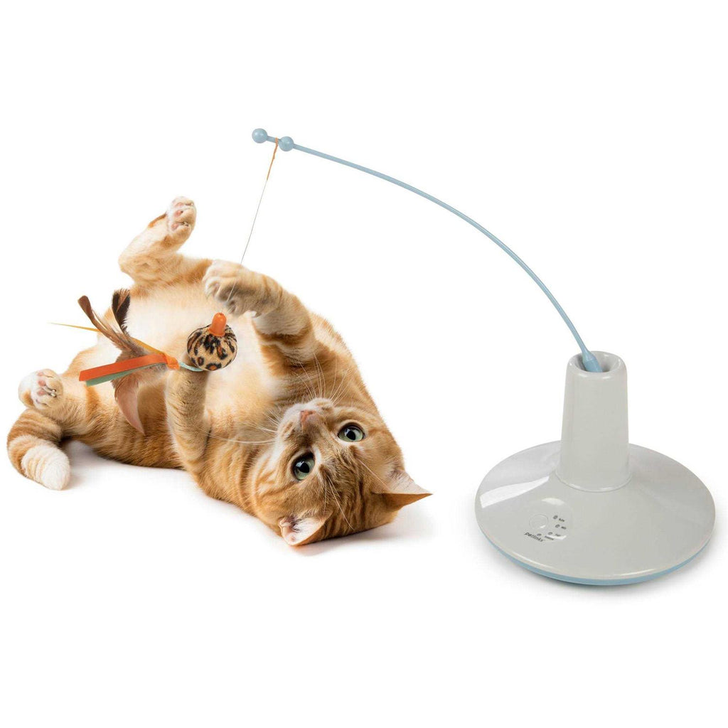 Wild Wand Cat Toy C34630