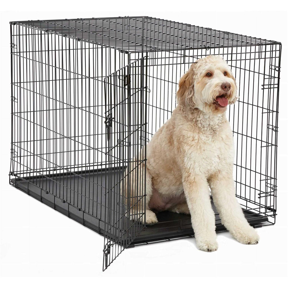 Single Door Dog Crate B351