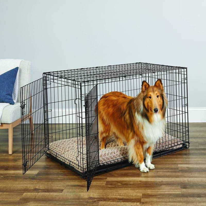 Single Door Dog Crate B351