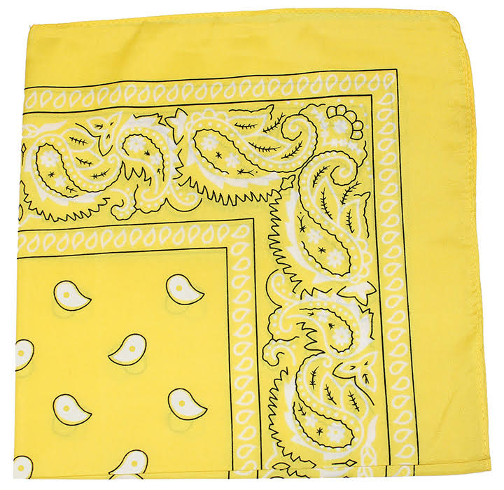 96 Pack 100% Polyester Paisley Bandanas (Hot Pink) R4398