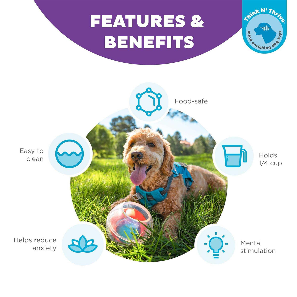 Interactive Ball Dog Toy X9547