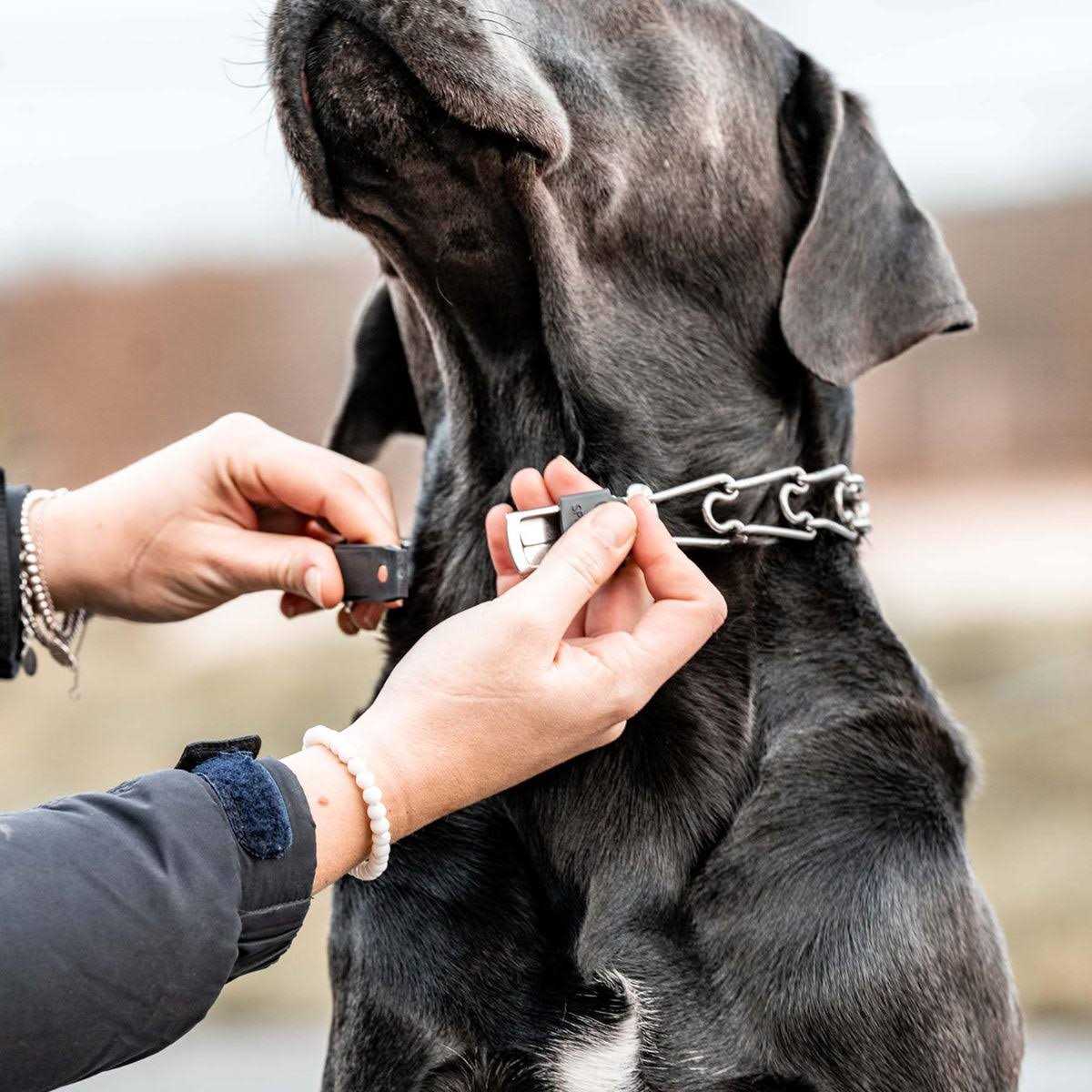 Stainless Steel Quick Release Buckle for Dog Collar H691