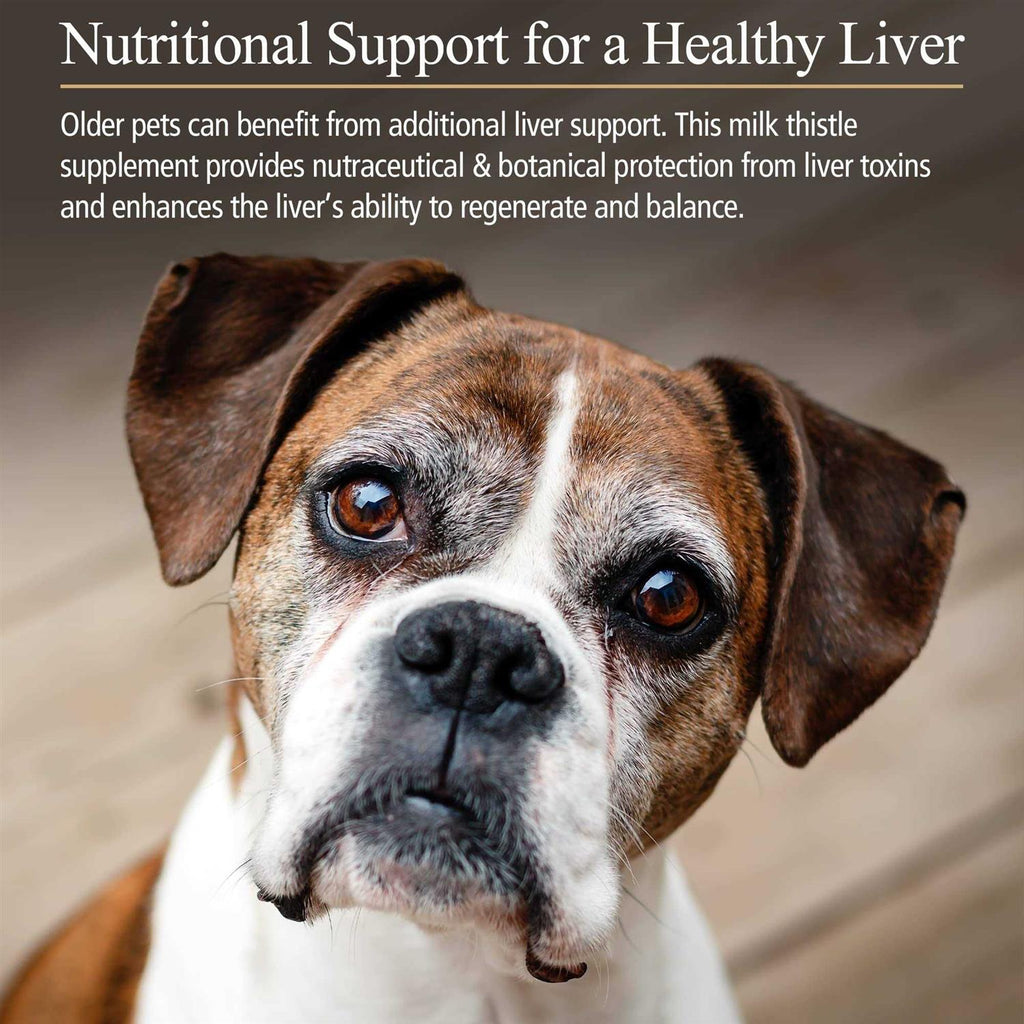Hepato Support for Pets K251460