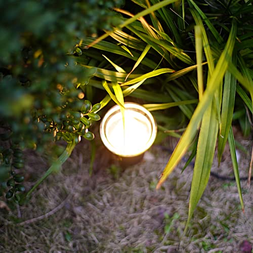 1.5W LED Mushroom Pathway Lights 6PK 3000K Black Metal H69842