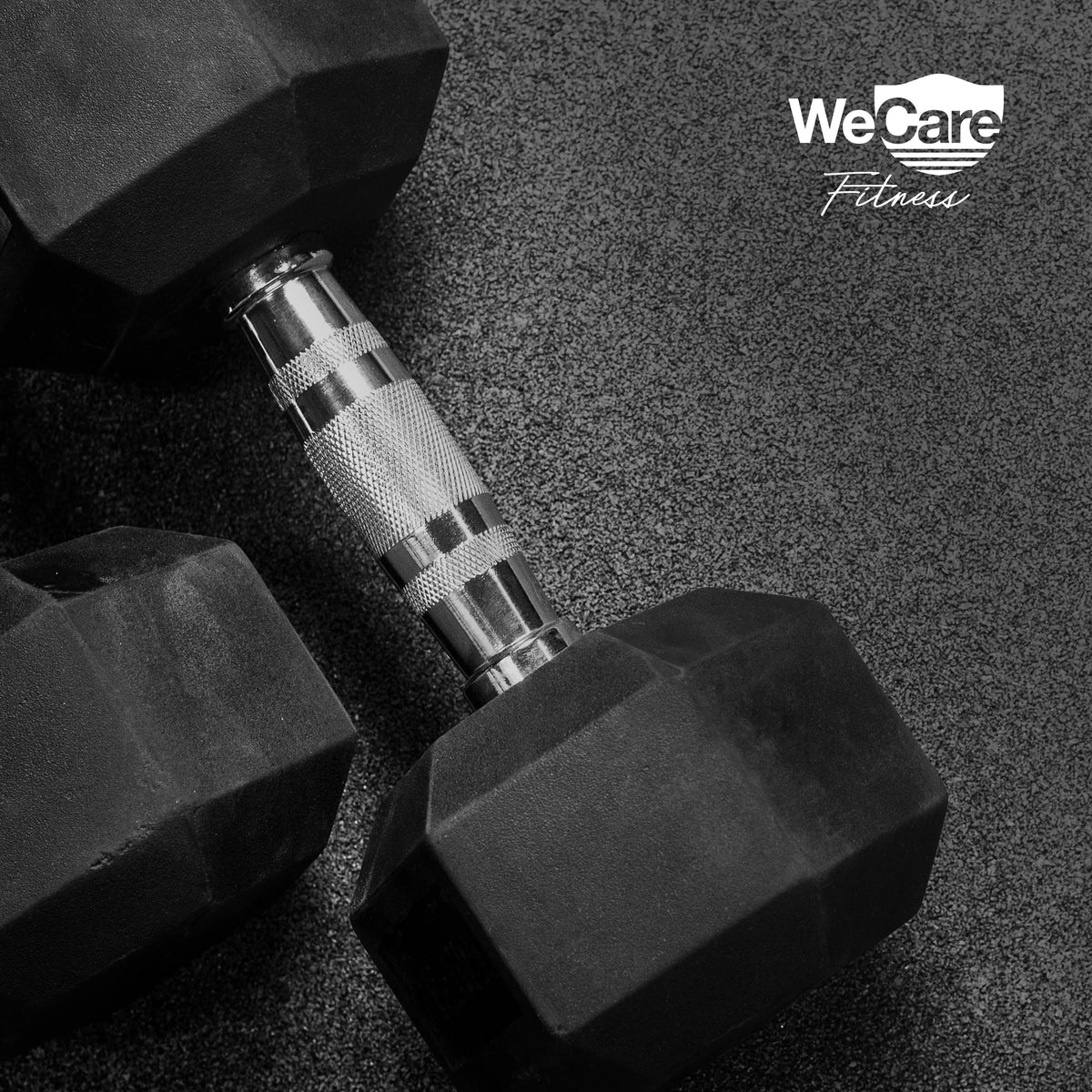 20lb Rubber Chrome Dumbbells Pair J1648