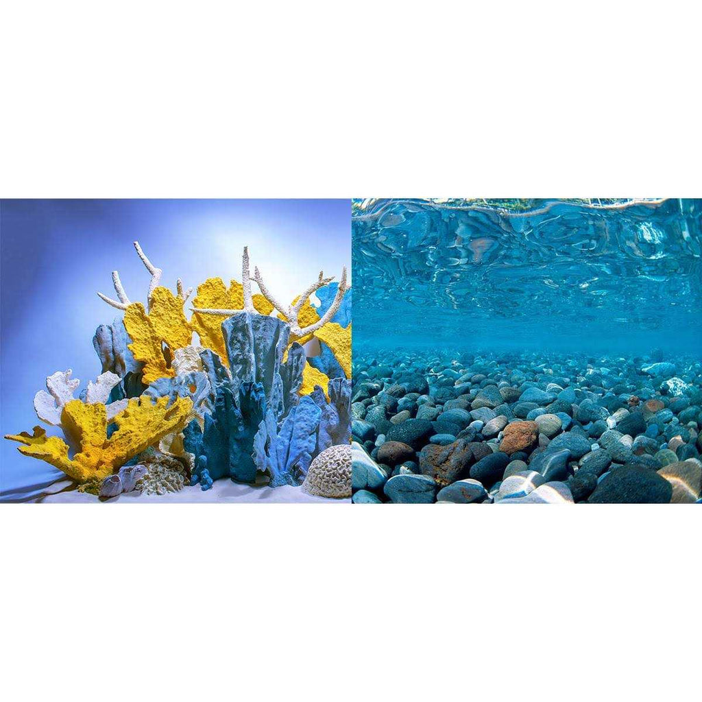River Rock/Coral Bliss Background N540