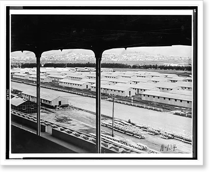 Framed Print 17-7/8" x 21-7/8" W7009