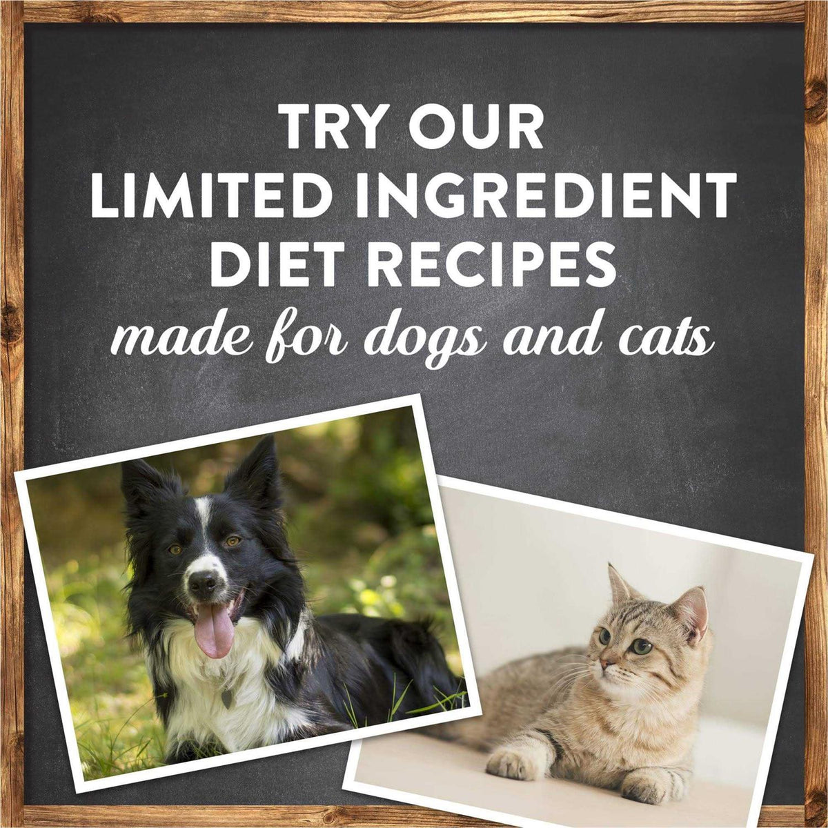 Grain Free Salmon Sweet Potato Dry Dog Food Z9844
