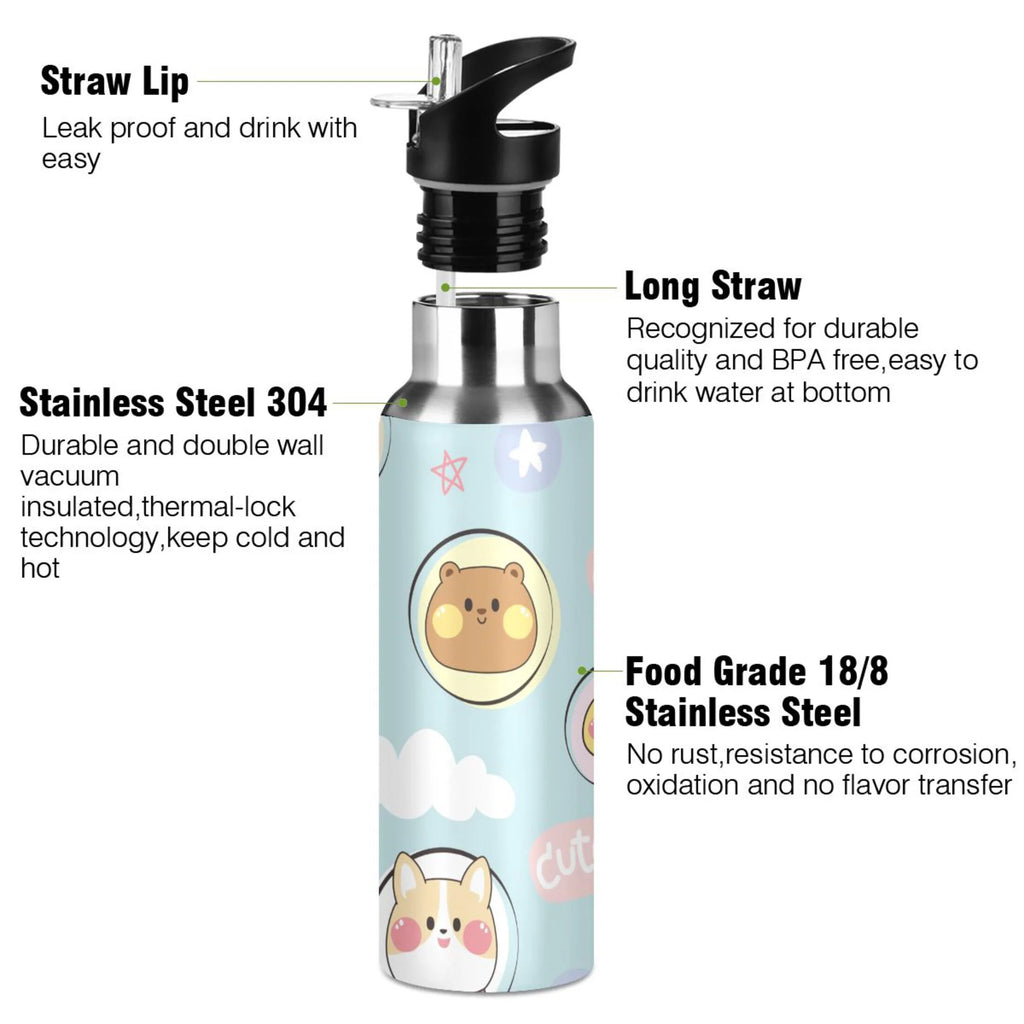 Stainless Steel Insulated Water Bottle with Straw Lid P464