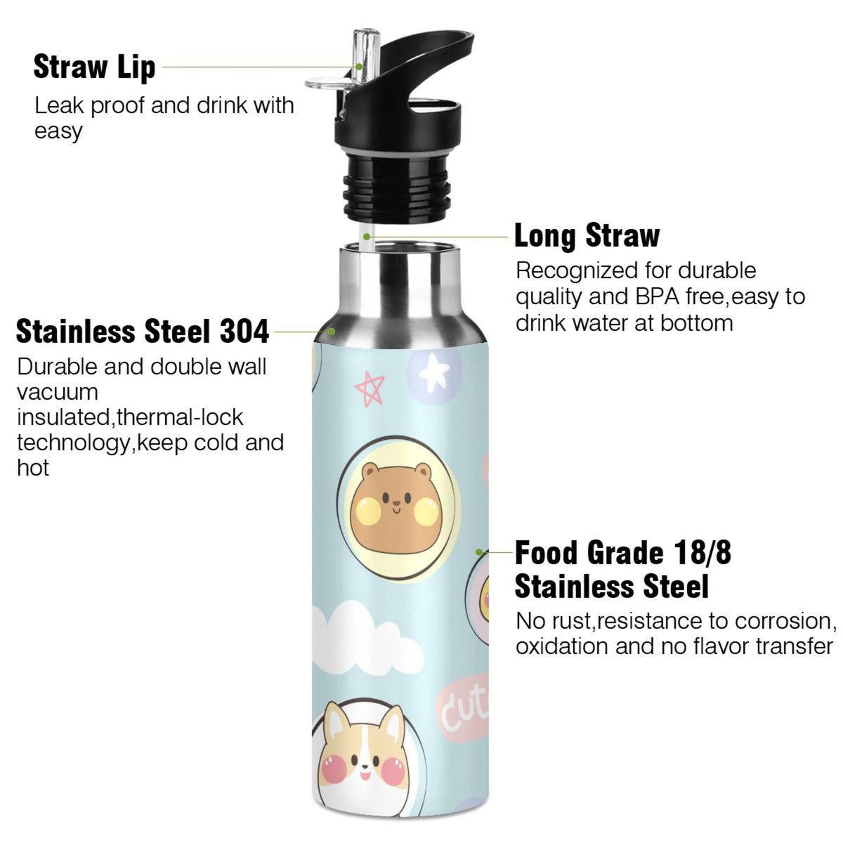 Stainless Steel Insulated Water Bottle with Straw Lid P464