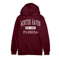 Premium Cotton Hoodie Y4428