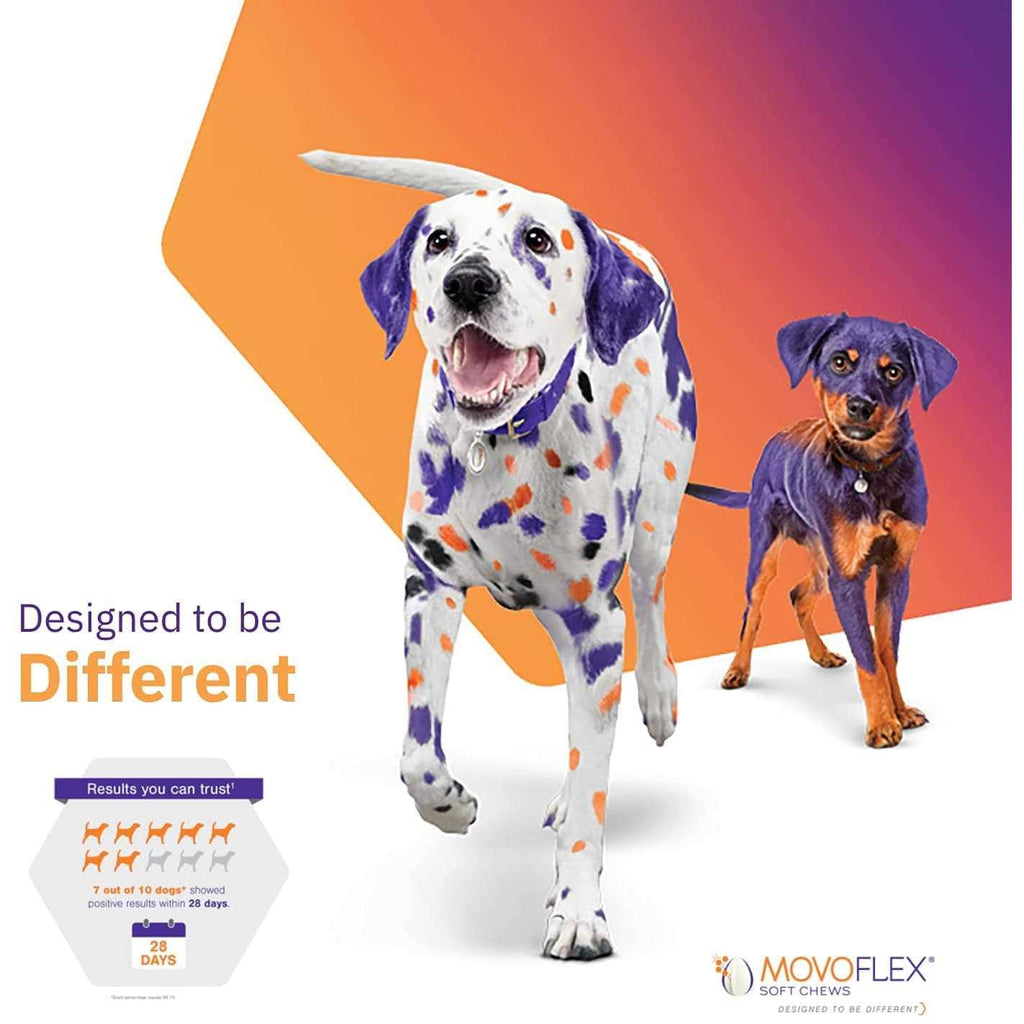 Joint Support Soft Chews for Dogs L544