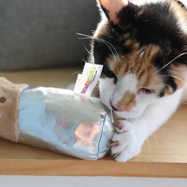 Cat Toy R909