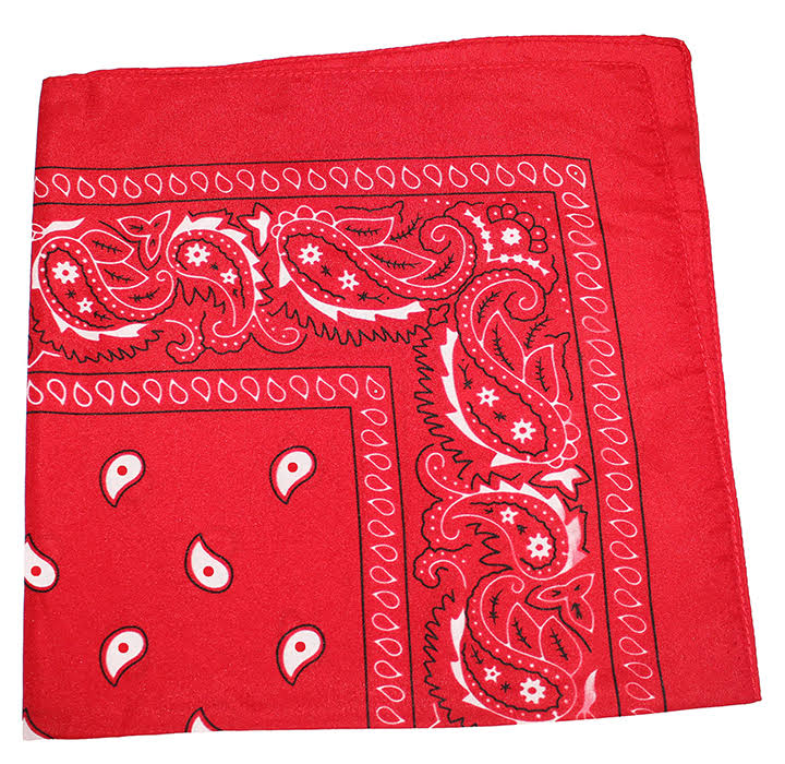 96 Pack 100% Polyester Paisley Bandanas (Hot Pink) R4398